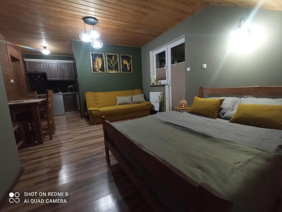 Apartament 4 osobowy Vacation rental in Greater Poland Voivodeship