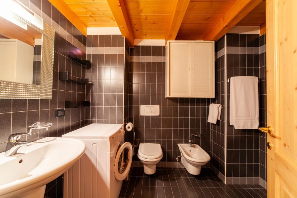 Shower, Toilet, Bathroom, washing machine