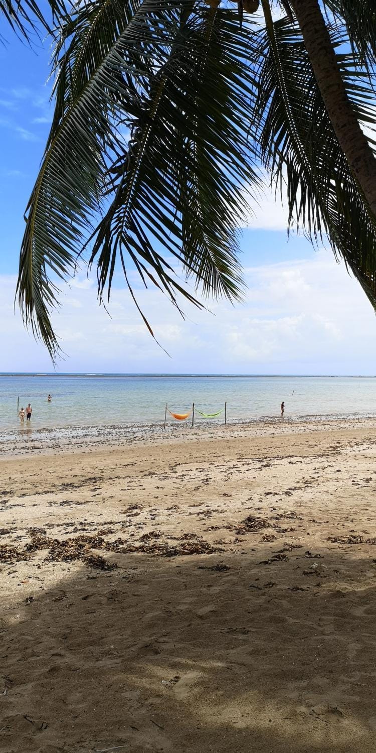Natural landscape, Beach