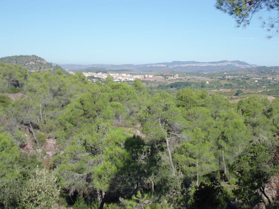 Ca la Viola Country House in Baix Camp