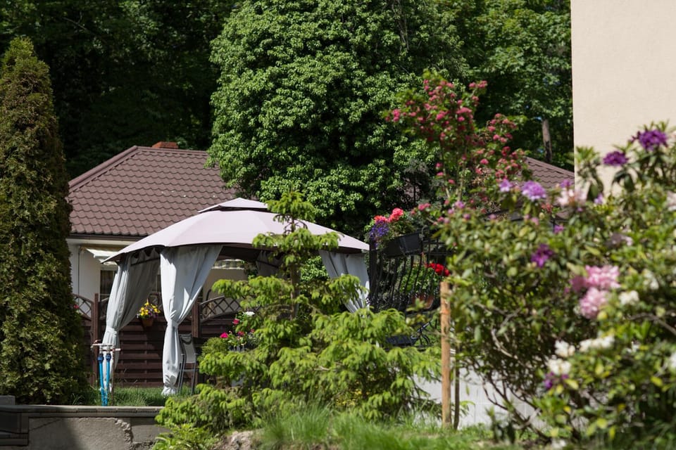 Day, Garden, Garden view