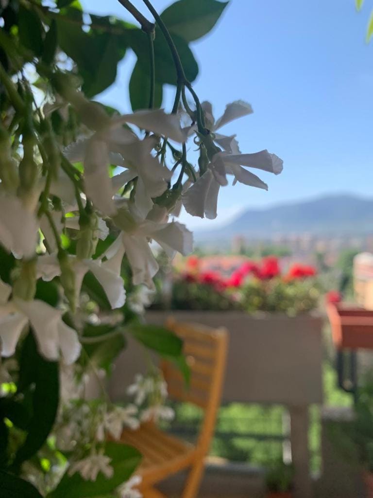 Bed and Breakfast San Valentino Bed and Breakfast in Terni