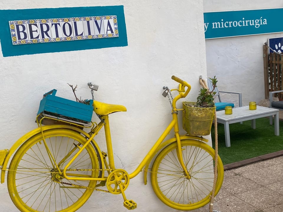Bertoliva Apartment in Marina Baixa