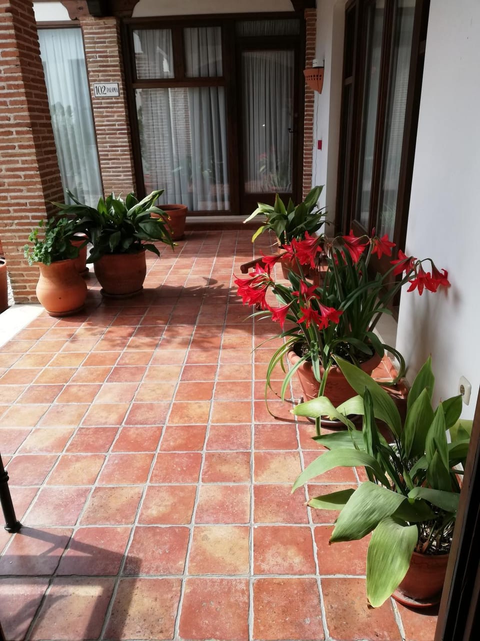 Patio