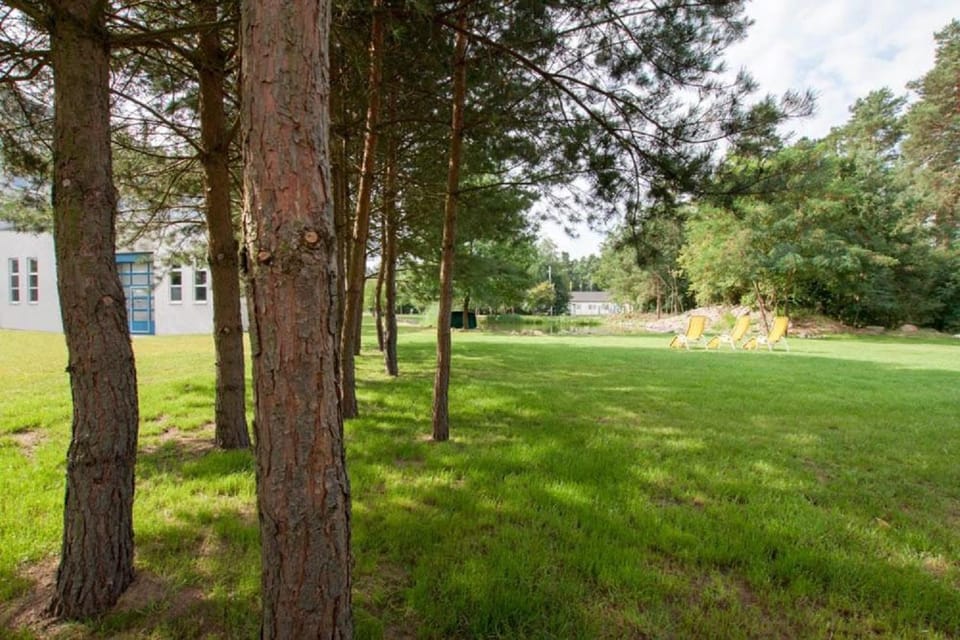 Patio, Garden