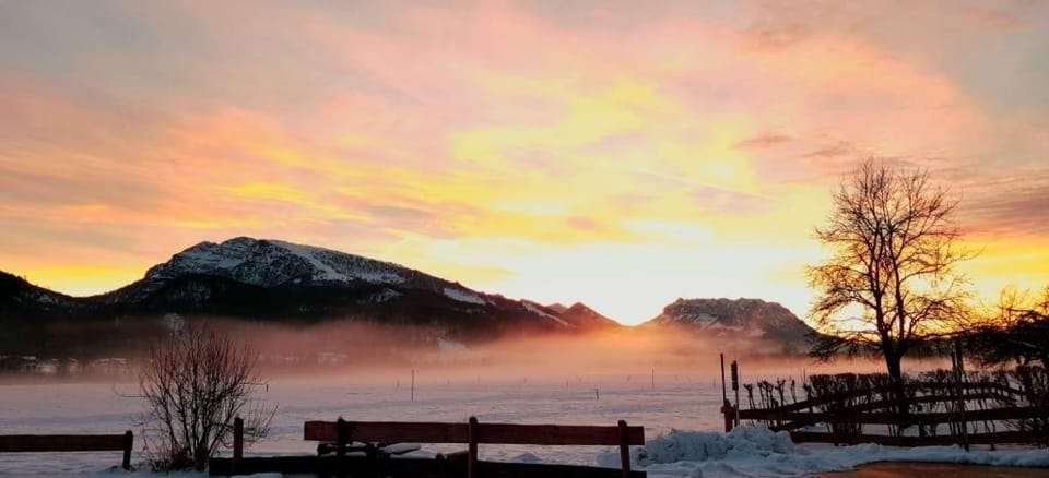 Haus Schmiederer Apartment in Salzburgerland