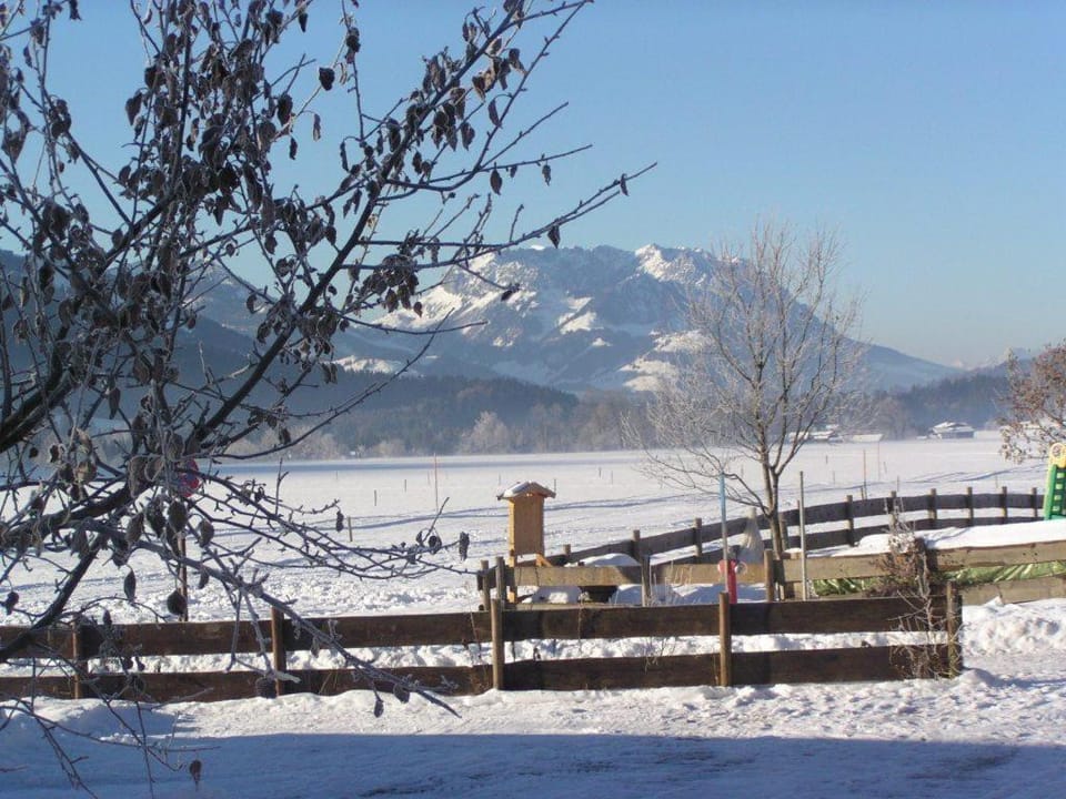 Haus Schmiederer Apartment in Salzburgerland