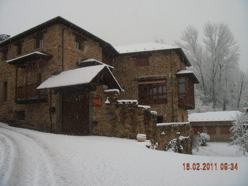 Day, Winter, Other