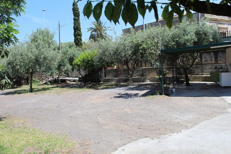Area and facilities