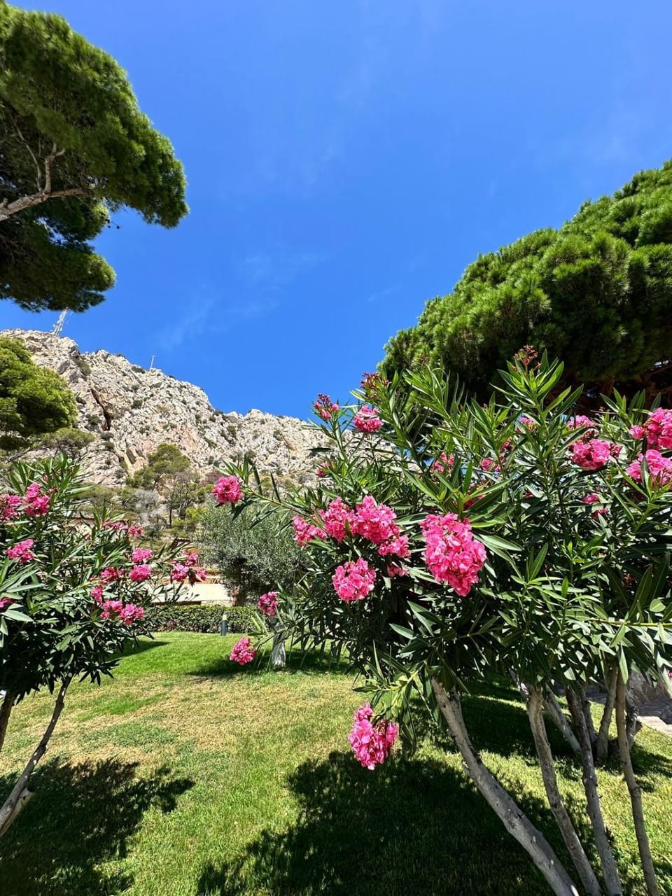 Natural landscape