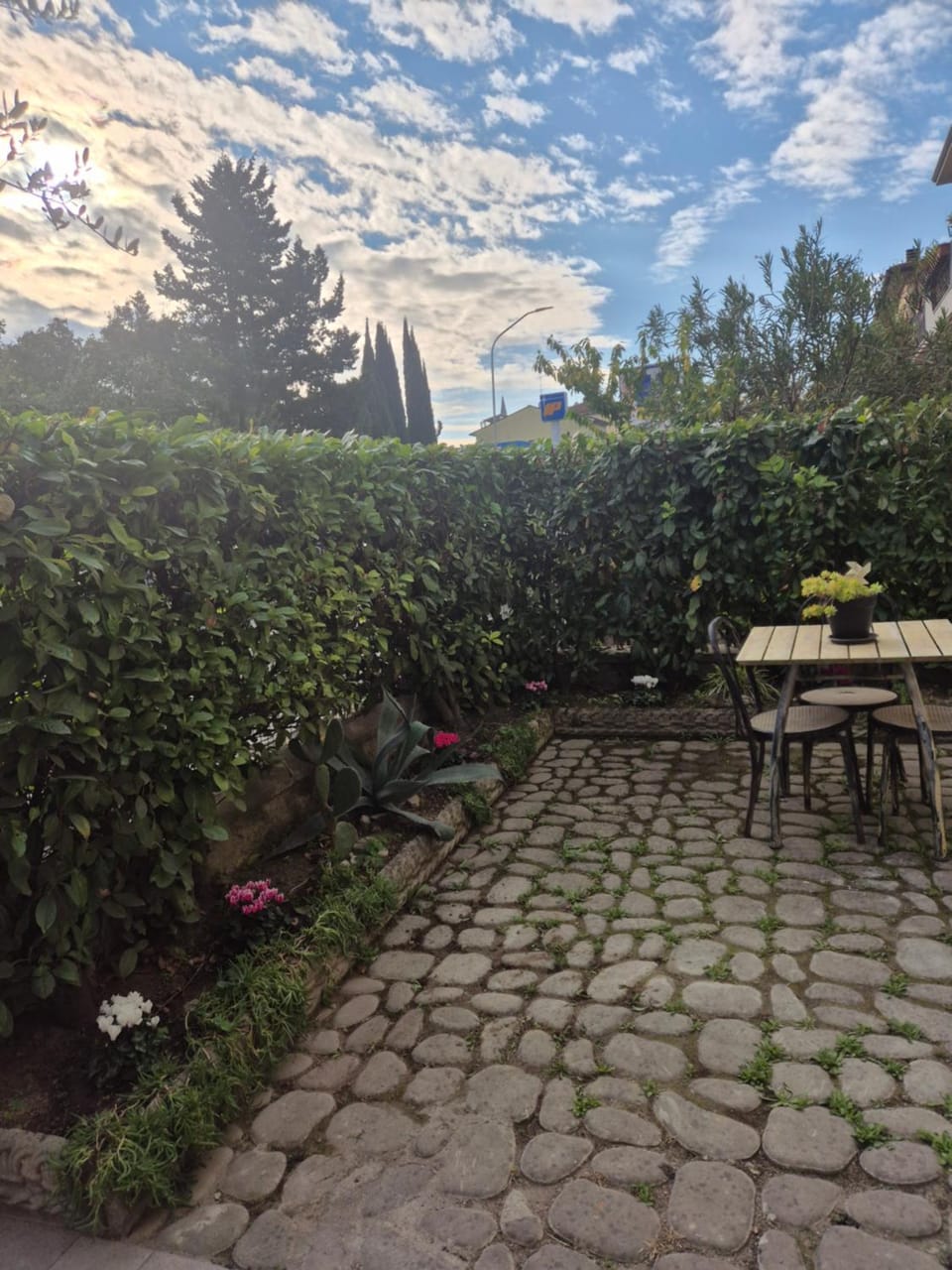 Day, Garden view