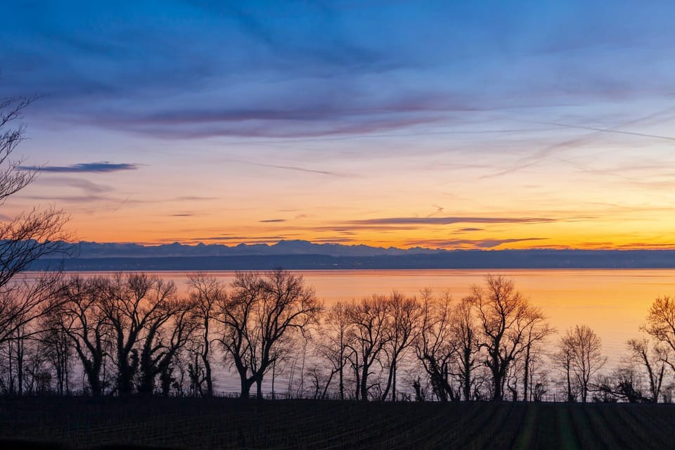 Natural landscape