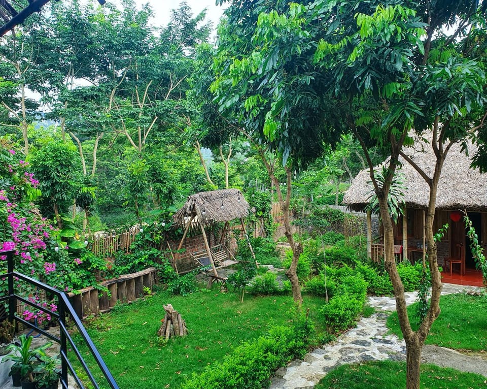 Garden, Street view, Quiet street view