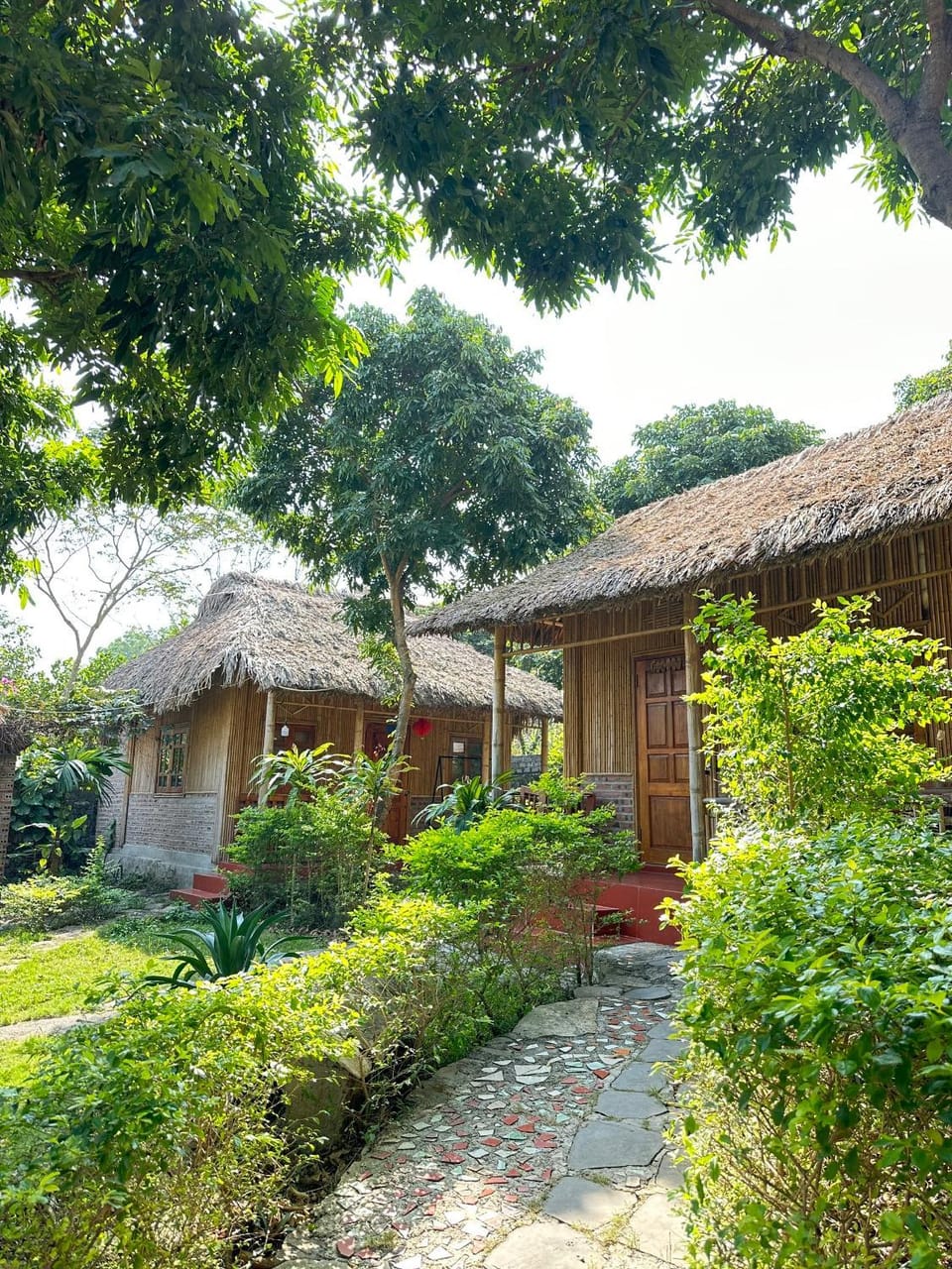 Garden, Photo of the whole room, Garden view