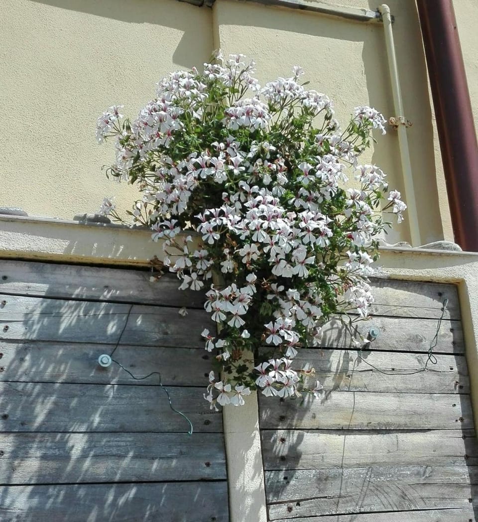 Casa Ofelia House in Levanto