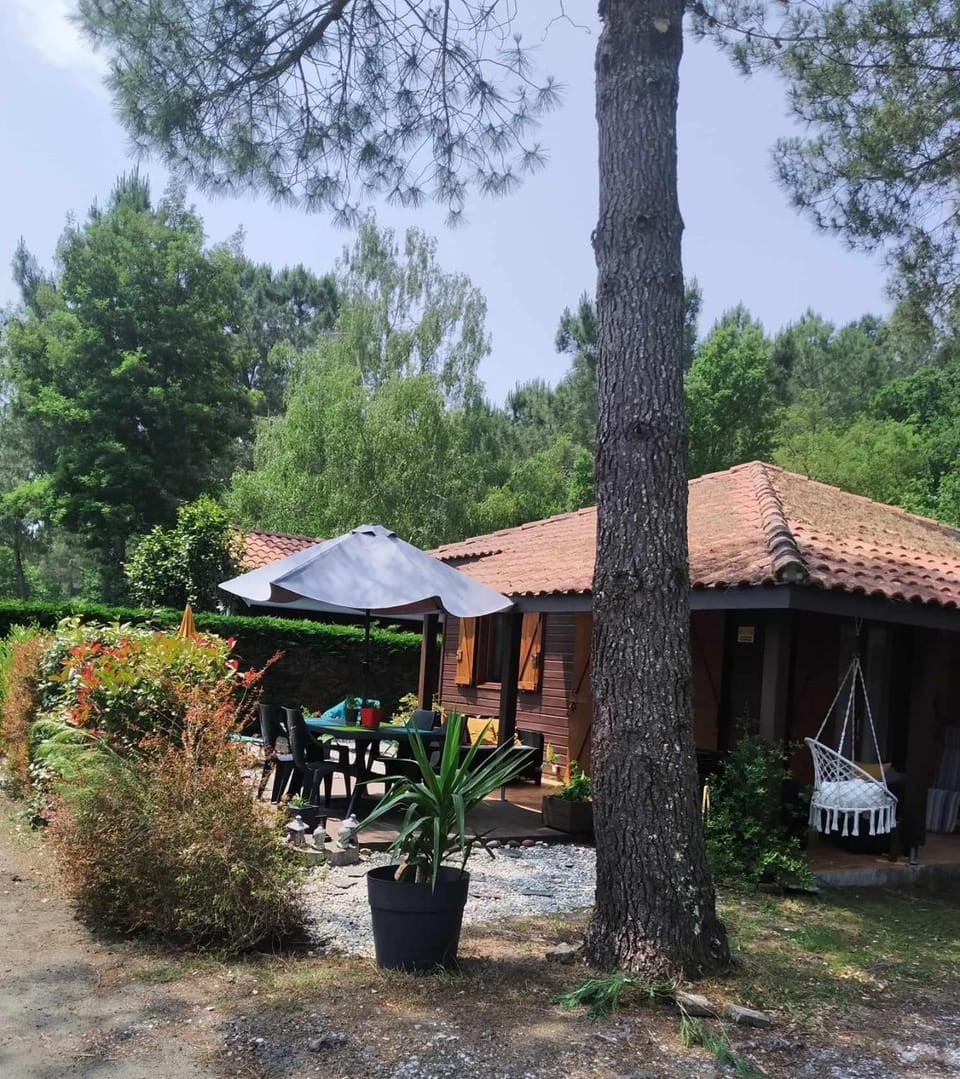 Property building, Patio, Garden