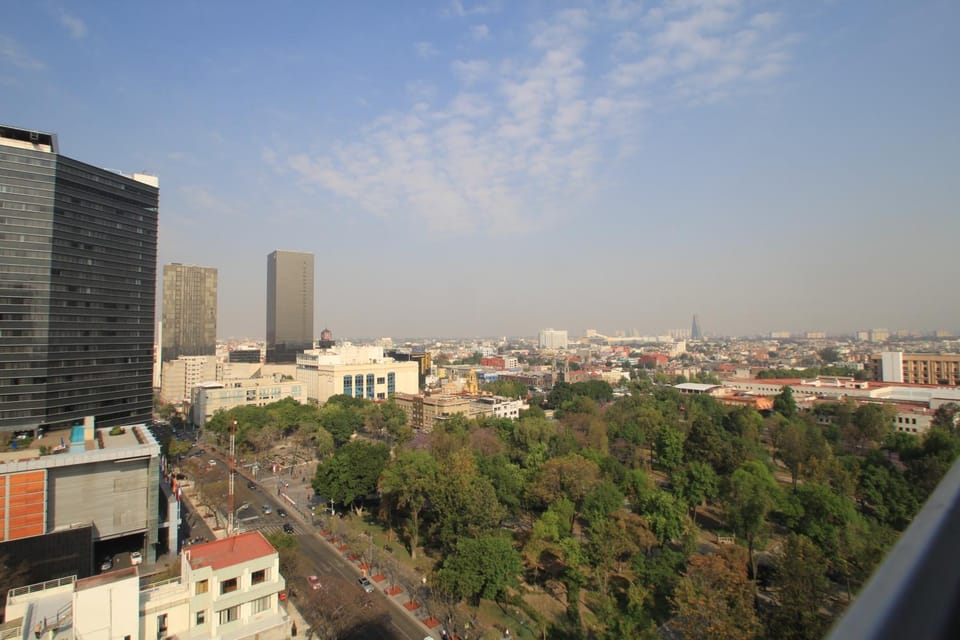 City view, Garden view