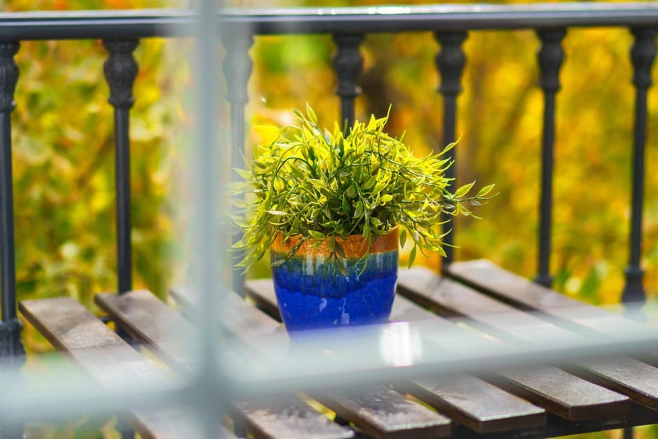 Casa la Fontana - Hostatel Bed and Breakfast in Granada