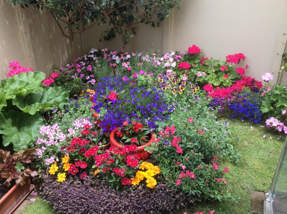 Albert Mews B and B Bed and Breakfast in Whitianga
