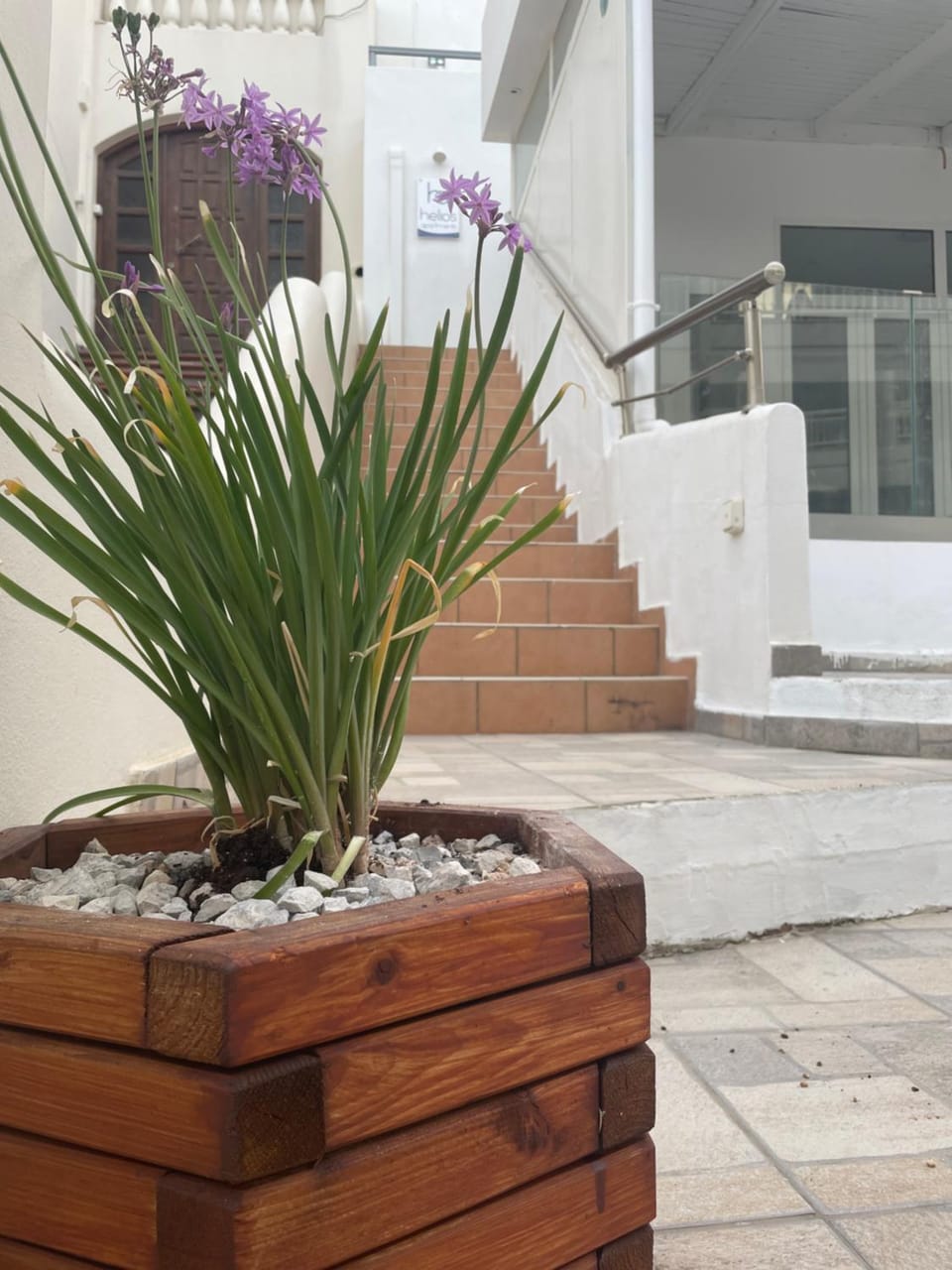 Property building, Day