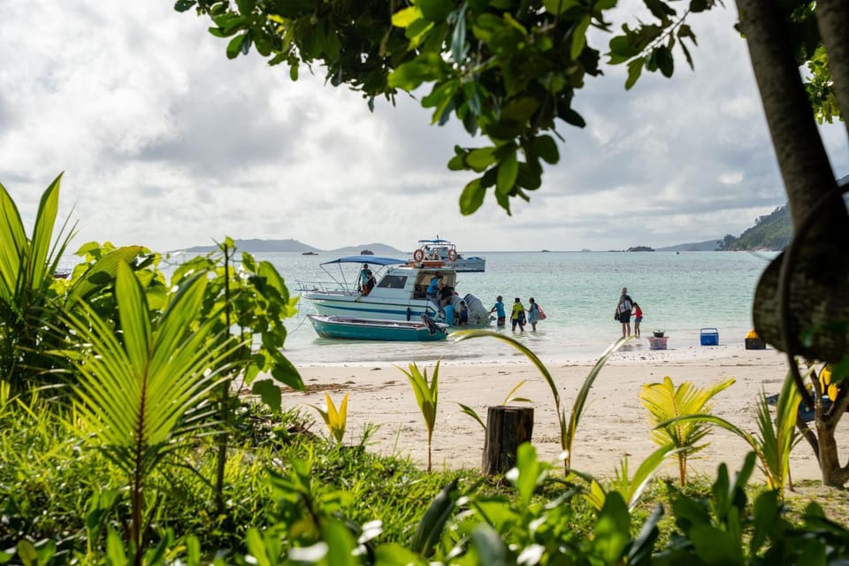 Natural landscape, Beach, Sea view