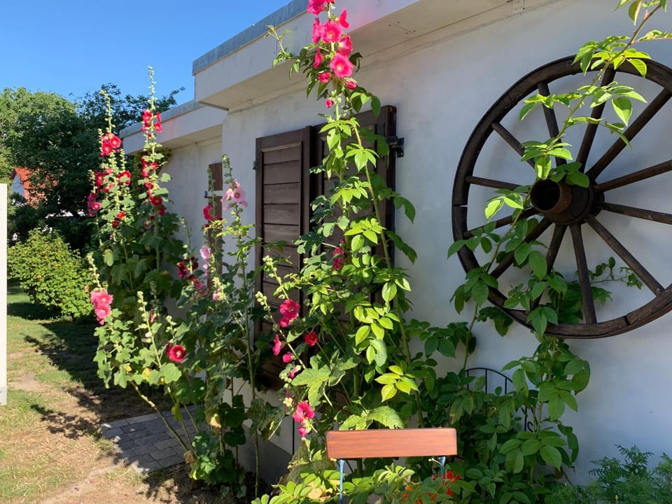 Patio, Garden view, Internal: Not applicable to any particular room