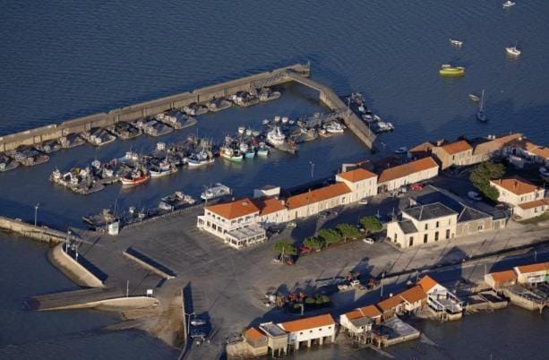 Area and facilities
