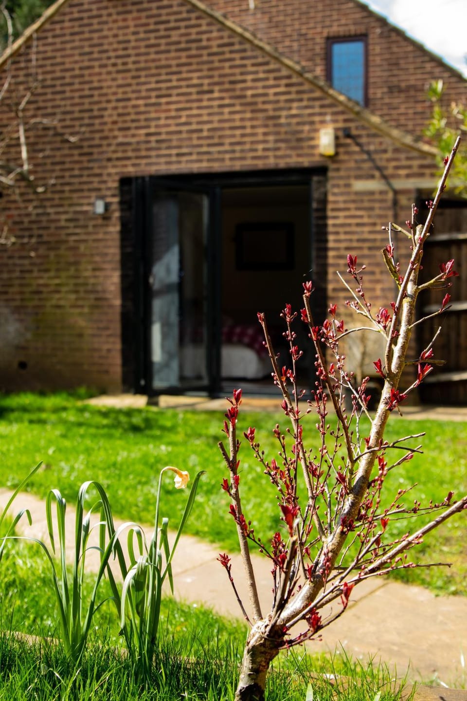 Studio Hatfield Bed and Breakfast in Hatfield
