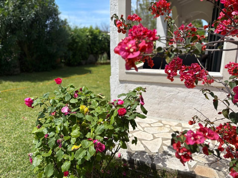 Sirios Apartment in Corfu, Greece