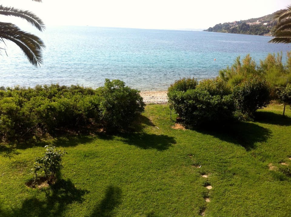 Garden, Beach, Area and facilities