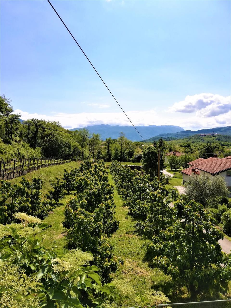 Neighbourhood, Natural landscape, Mountain view