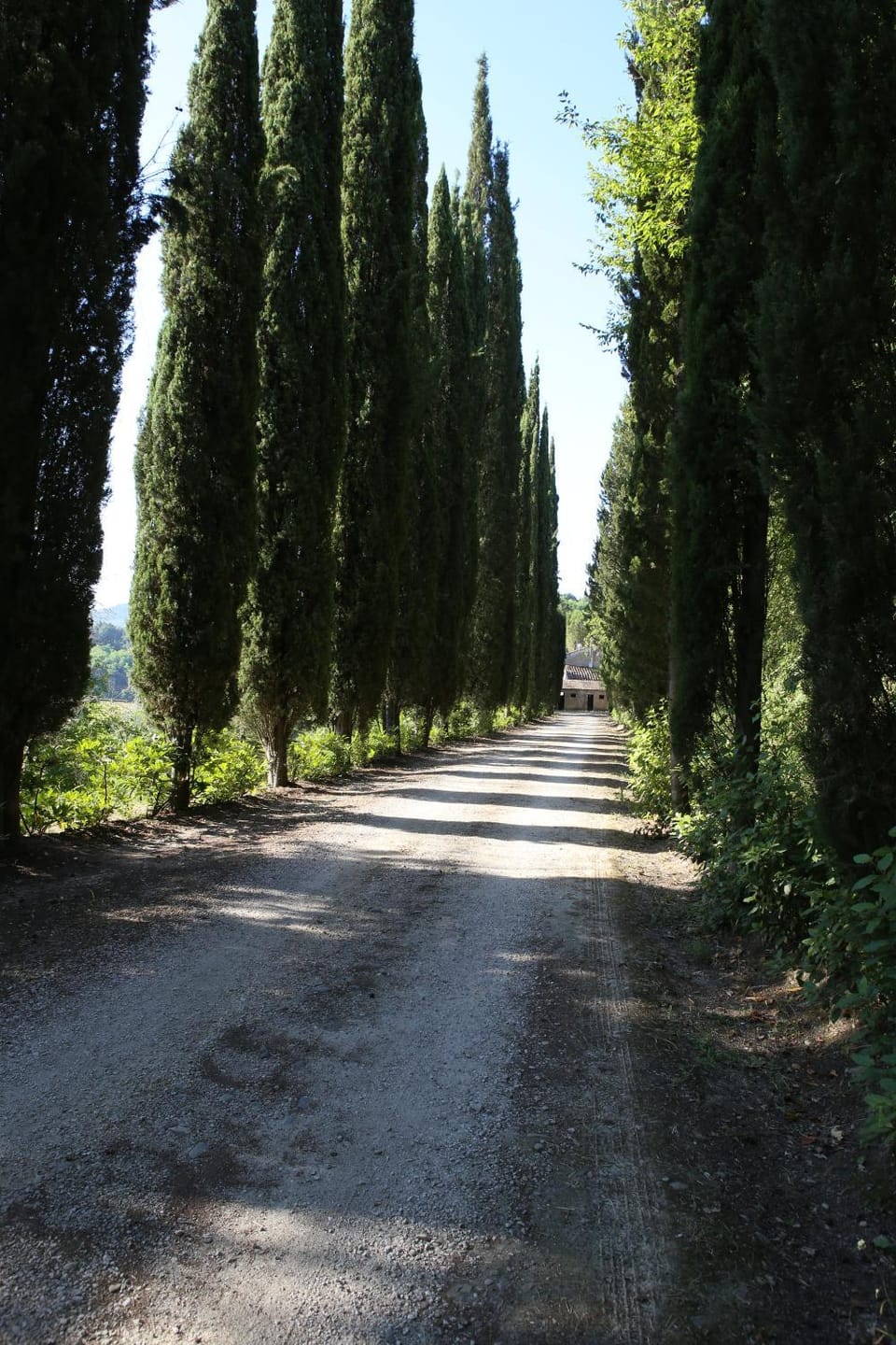 La viola House in Umbria