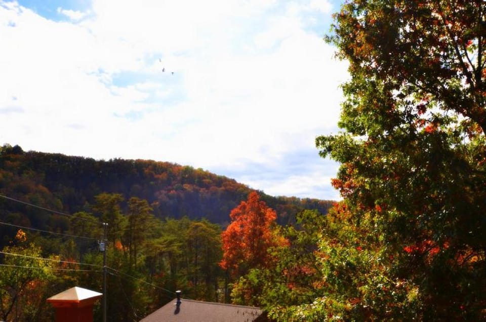 Mountain view
