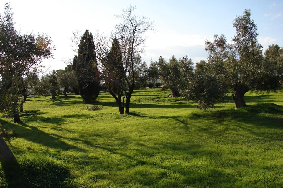 Spring, Garden, On site