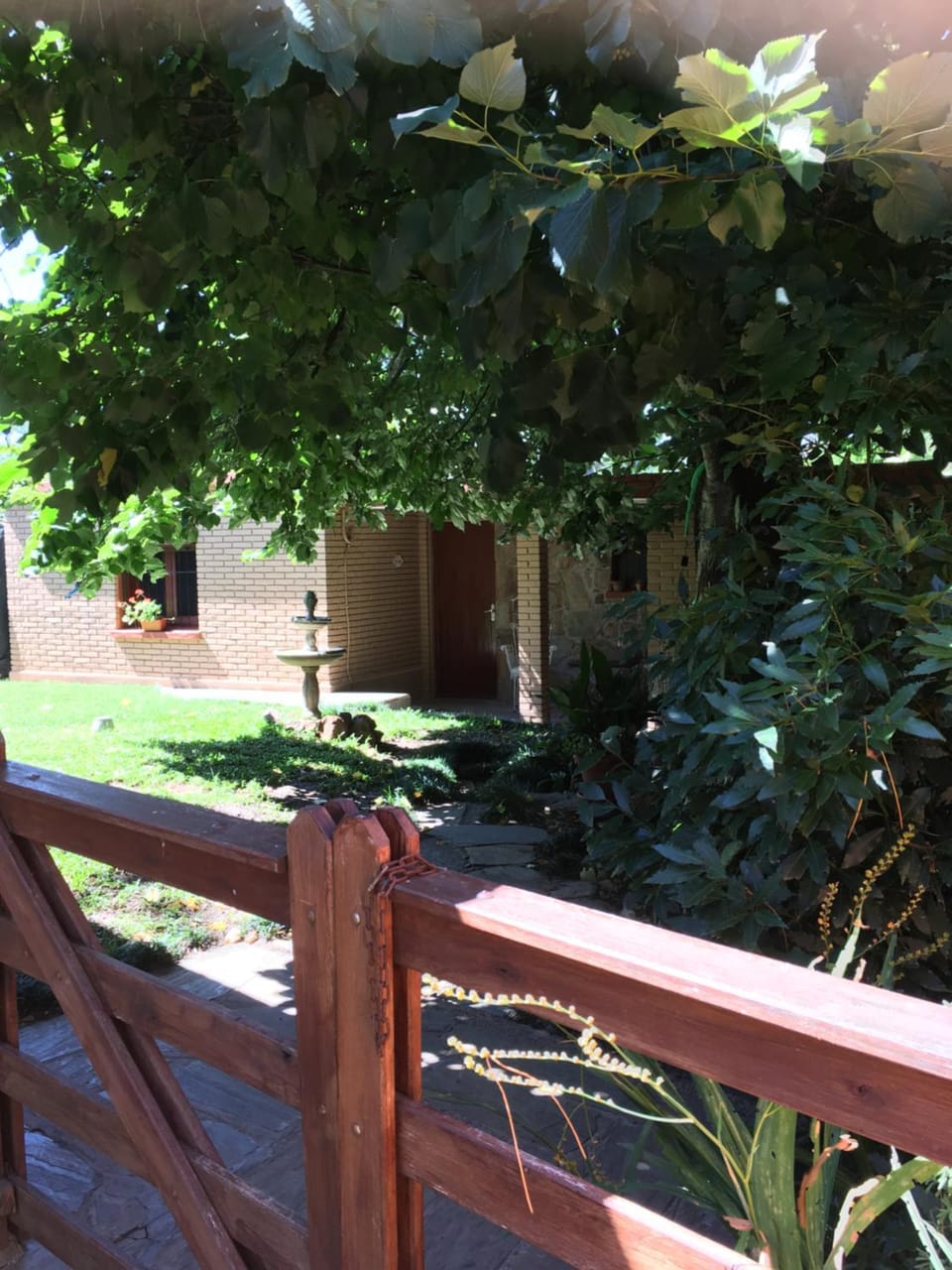 Garden view