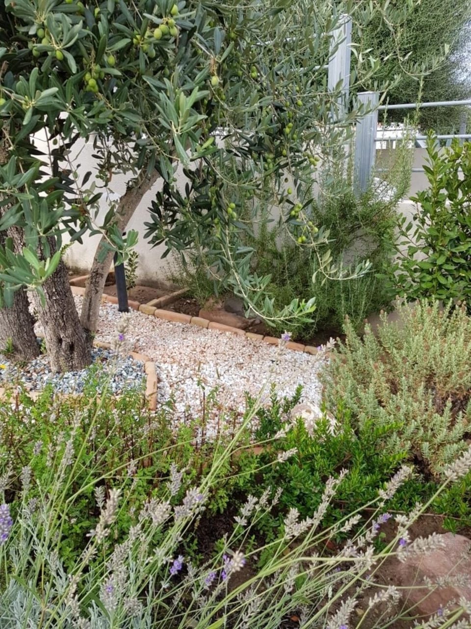 villa "LA PINA" Apartment in Sardinia