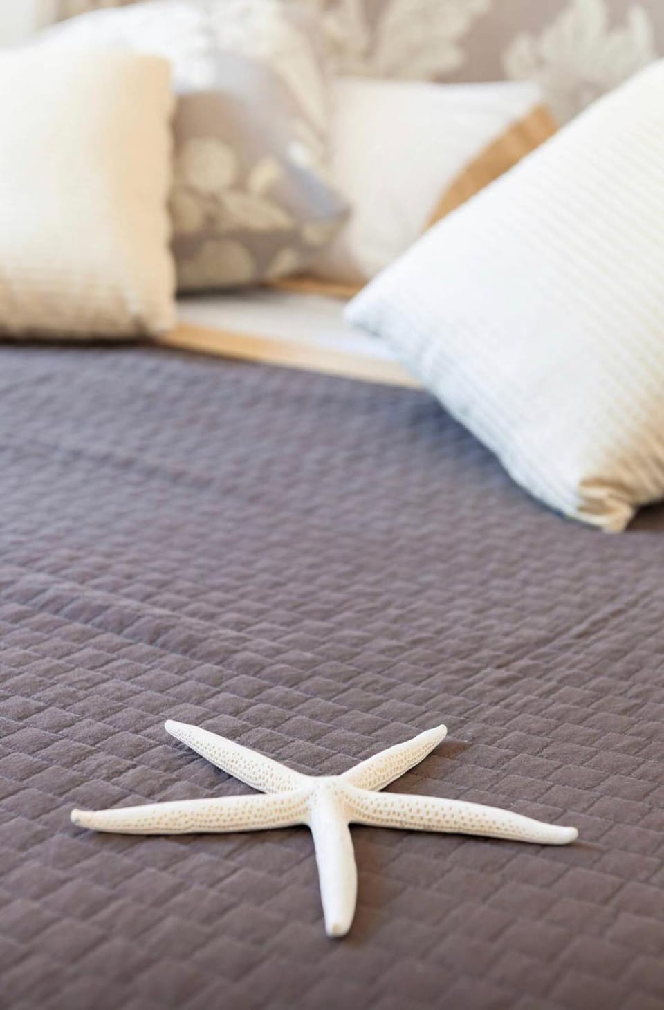 fior di lino House in Positano