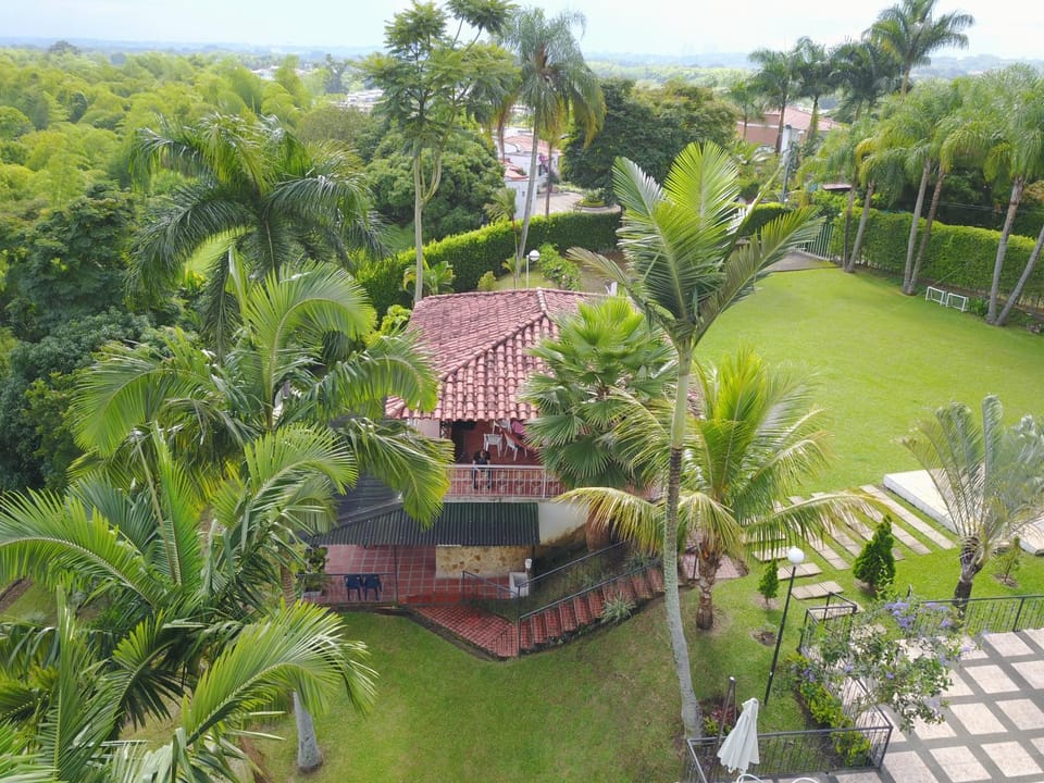 Garden view