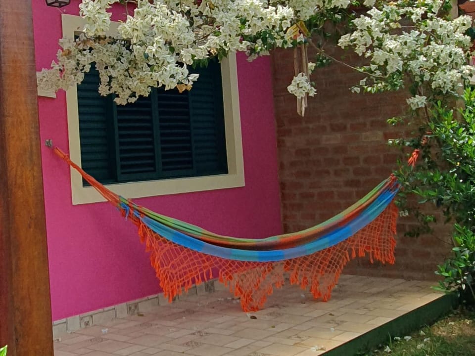 Patio, Spring, Day, Garden, Garden view