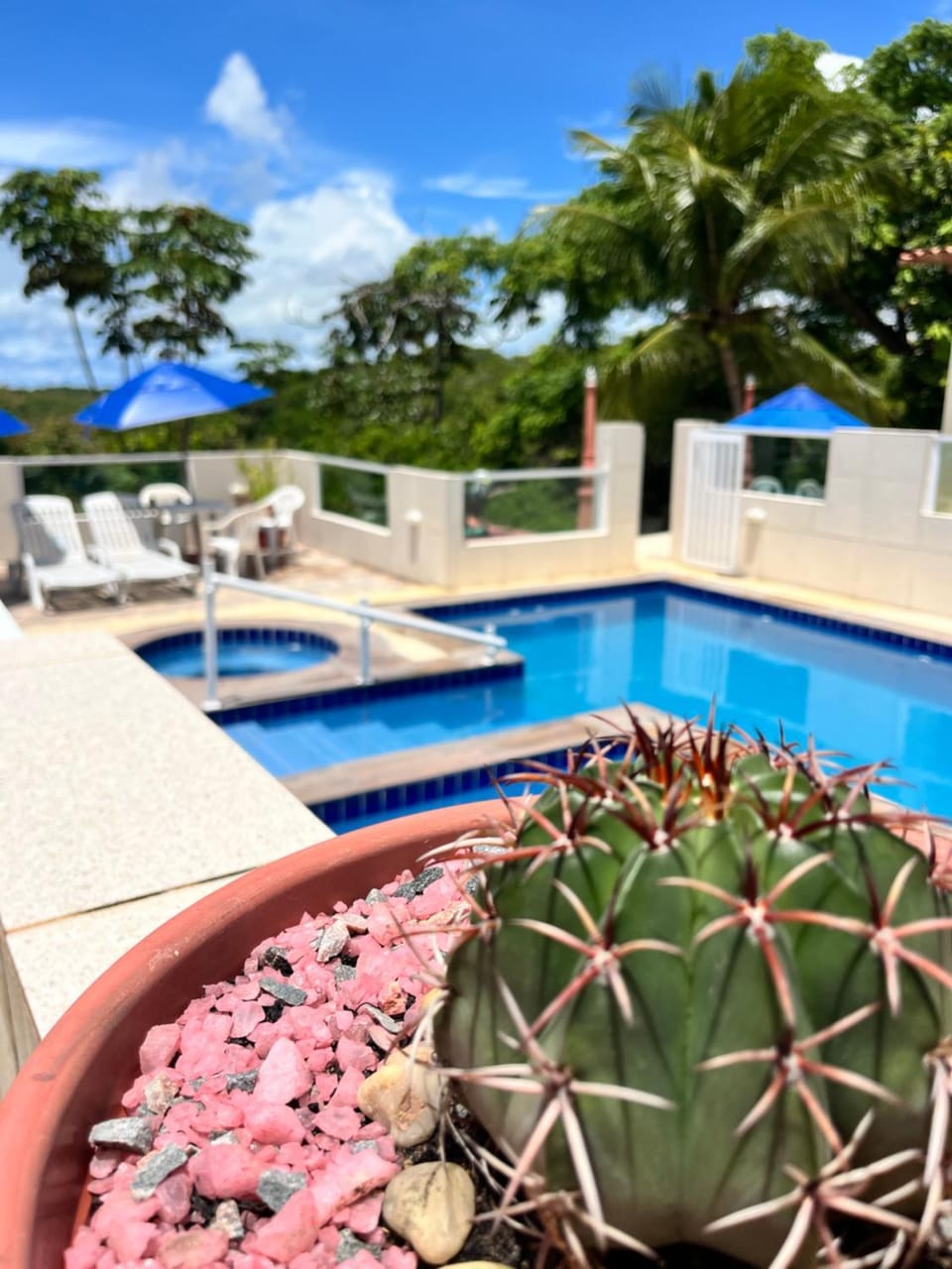 Pool view