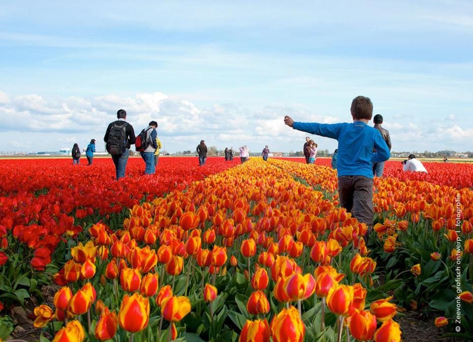 Paradise House in North Holland (province)