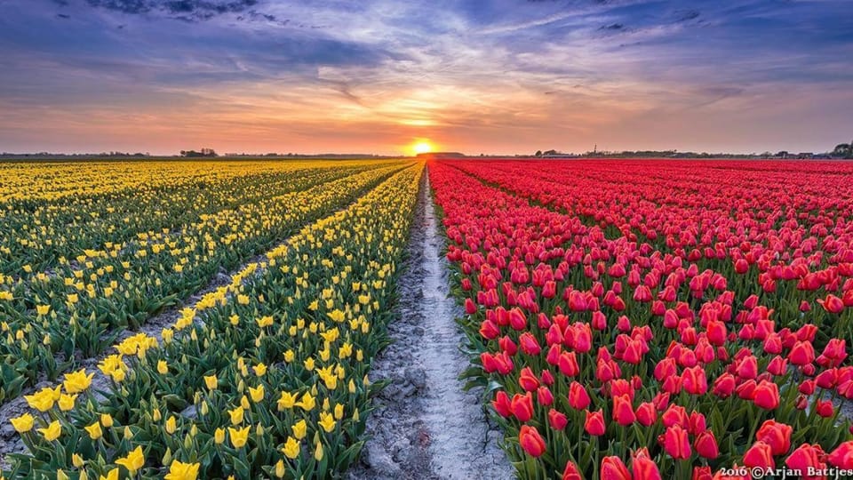 Paradise House in North Holland (province)