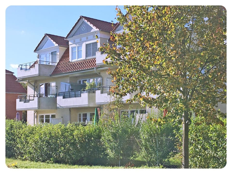 Property building, Garden view