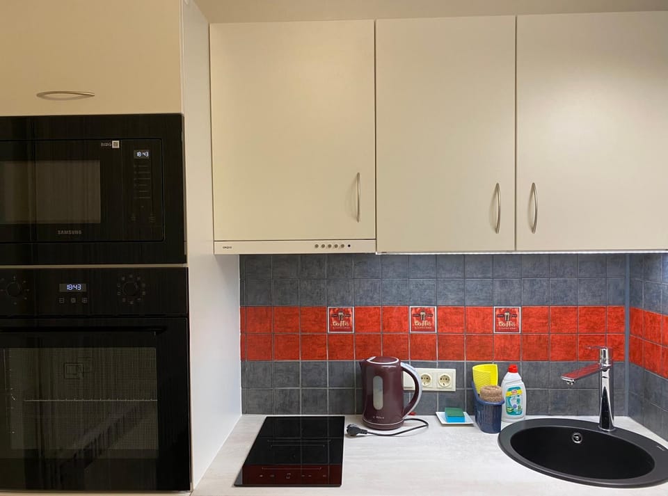 Kitchen or kitchenette, minibar, pet friendly, stove