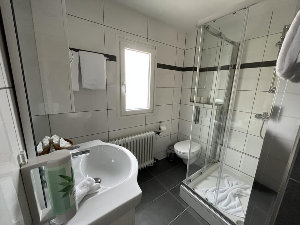 Shower, Toilet, Bathroom, towels