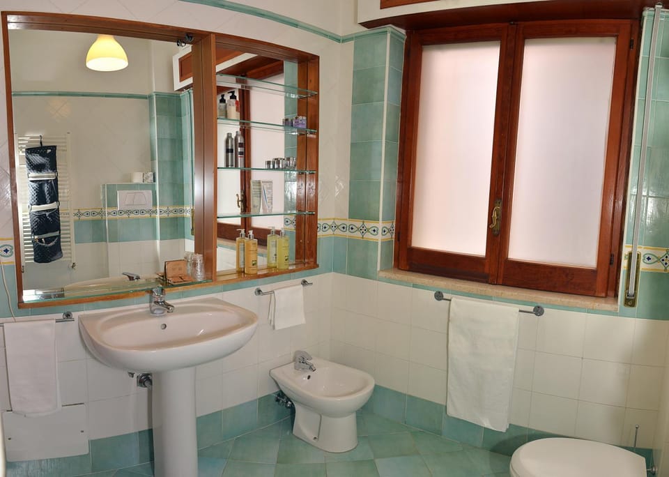 Shower, Toilet, Bathroom, bidet