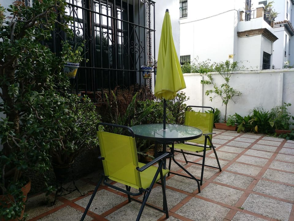 Patio, Garden