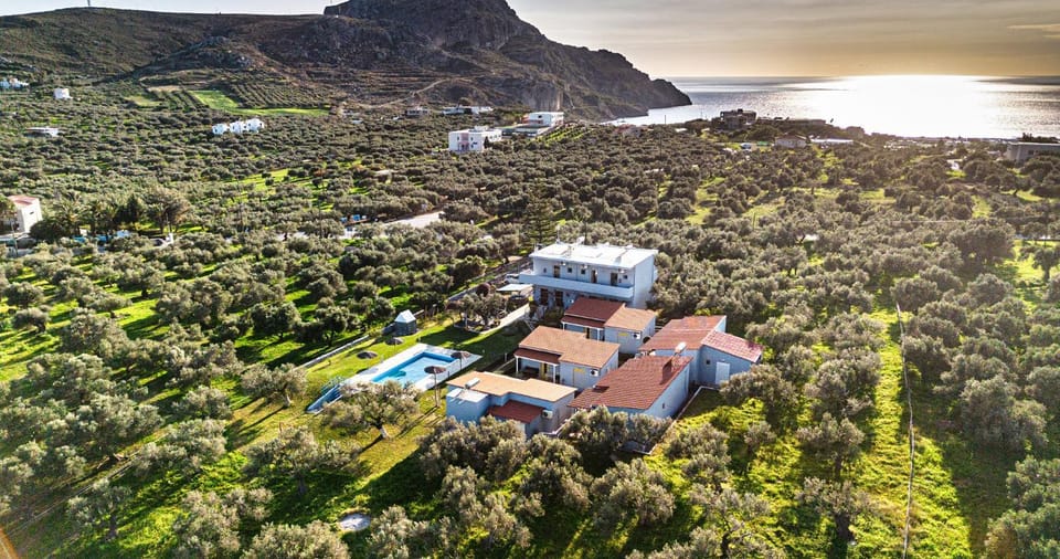 Natural landscape, Bird's eye view, Pool view, Sea view