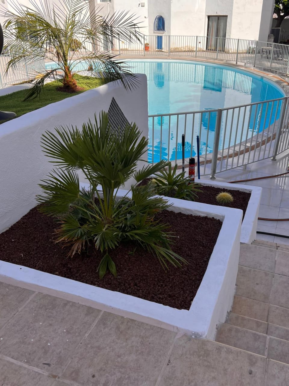 Pool view, Swimming pool