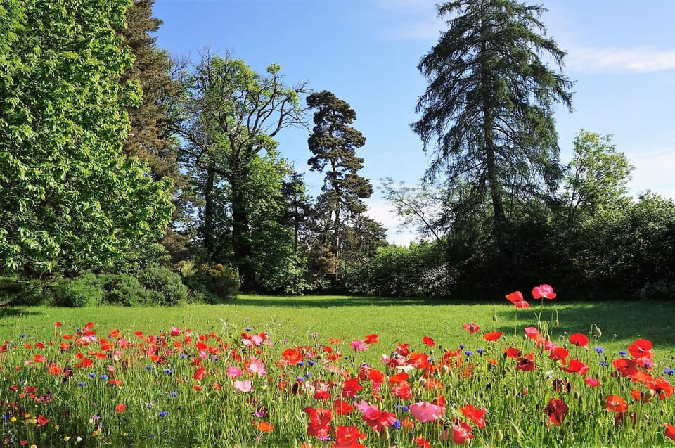 Spring, Garden, On site